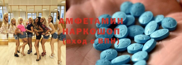твердый Новодвинск