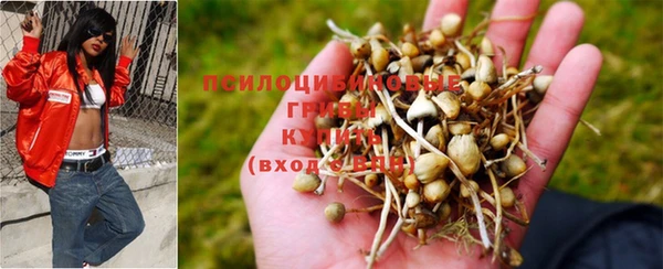 бутират Новозыбков