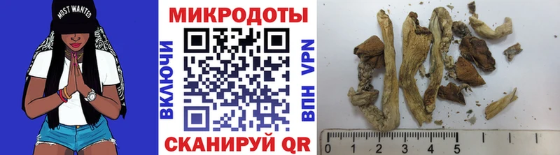 цены наркотик  Пудож  Псилоцибиновые грибы Magic Shrooms 